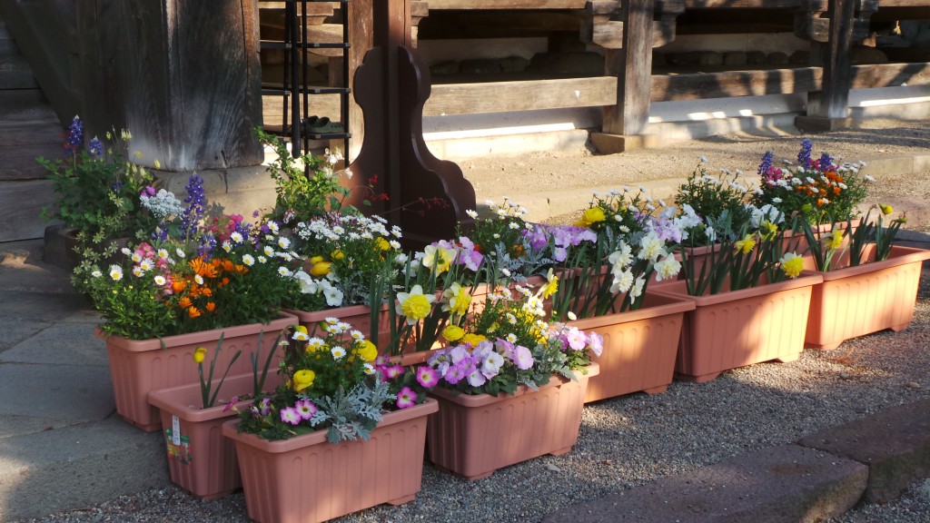 Small garden in Suzaka