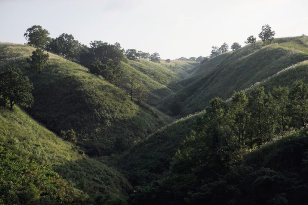 Green hills and valley landscape in Kyushu, Japan